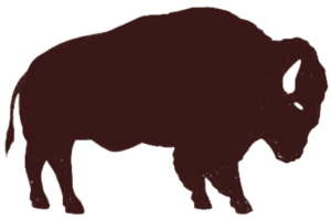 Bison Logo